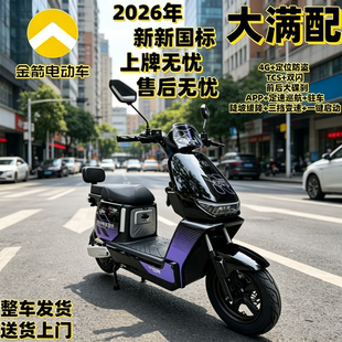 金箭电动车追梦新国标超长续航锂电外卖骑手家用代步电动自行车