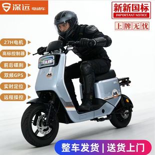 深远电动车A8新国标全国可上牌超长续航锂电池外卖家用专用神车