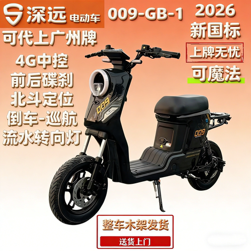 深远新国标可上牌电动车