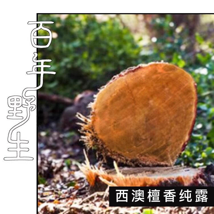 C组3款特惠纯露  天竺葵月桂檀香乳香岩玫瑰马鞭草酮迷迭香喇叭茶