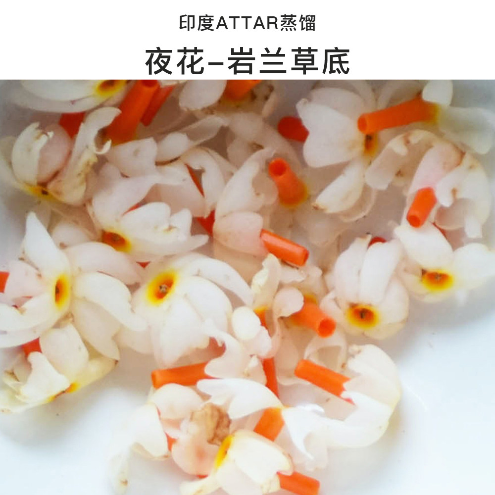 夜花-岩兰草精油印度attar精油月亮公主要白白 美妙香气直追香水