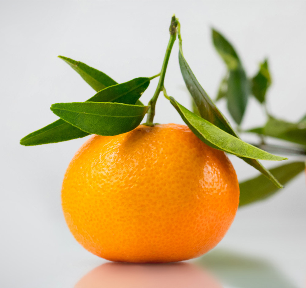 野橘精油  意大利 野生 果皮压榨