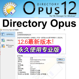 Directory Opus Pro 12.6 专业版 文件管理工具软件 专业版管理器