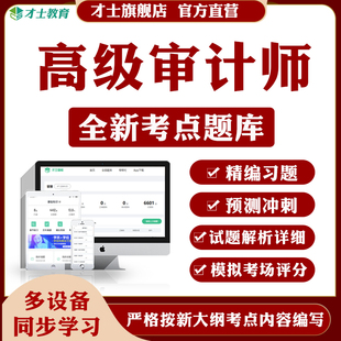 2026高级审计师考试题库理论与审计案例分析审计实务历年真题资料