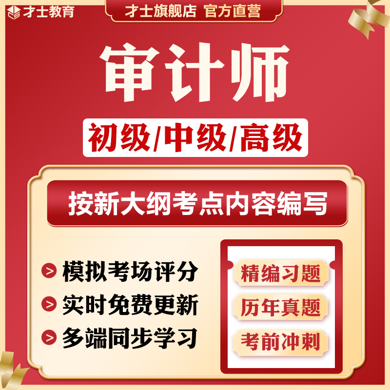 2024年初级中级高级审计师真题教材试卷理论实务相关知识考试题库