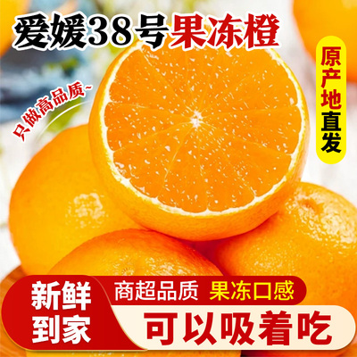 爱媛果冻橙38号正宗新鲜橙子