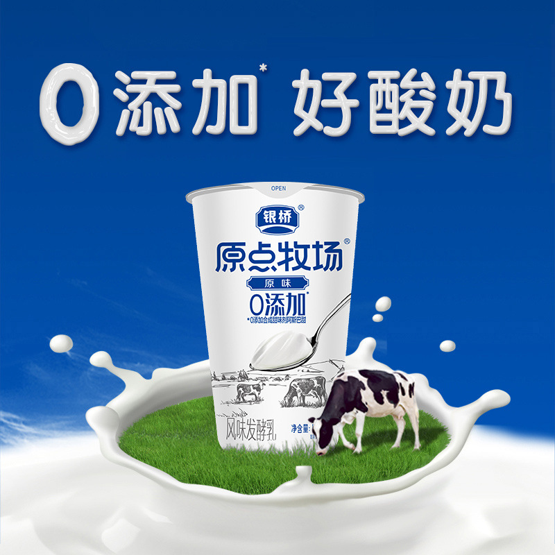 银桥酸奶原味益生菌发酵乳