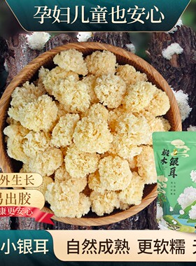 西娘子天然椴木小银耳干货孕妇正宗雪耳白木耳无硫非古田出胶软糯