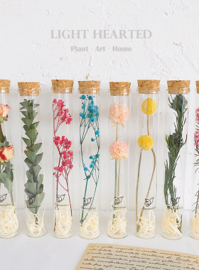许愿瓶植物标本装饰永生花干花束店铺摆件生日伴手礼七夕节日礼物