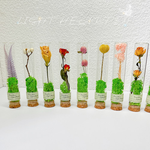 永生花玻璃试管干花生日节日礼物