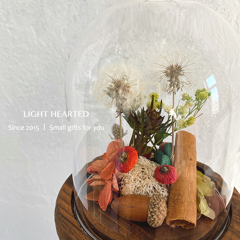 玻璃罩蒲公英植物微景观永生花