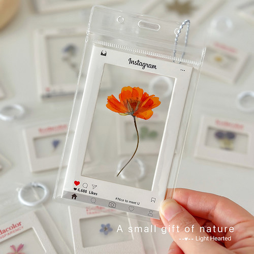 天然植物押花标本胶片挂件礼物