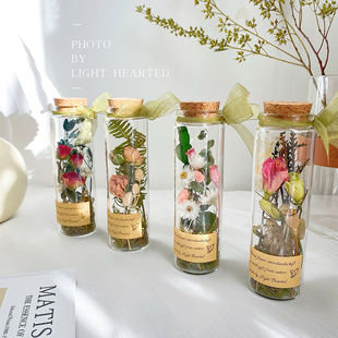 洋桔梗干花永生花玻璃试管康乃馨植物标本摆件生日情人圣诞节礼物