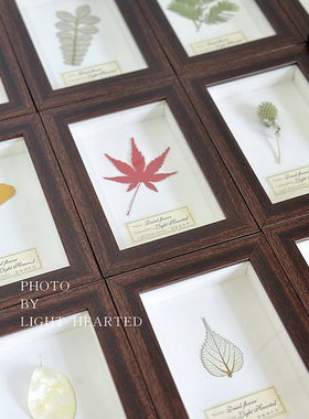 永生花干花植物标本墙复古相框家居摆件装饰画壁挂生日节日礼物