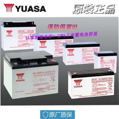 YUASA蓄电池汤浅NPL24-1