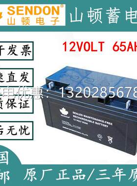 加拿大SENDON山顿UPS蓄电池12VOLT 65AH直流屏12V65AH 6-GFM-65AH