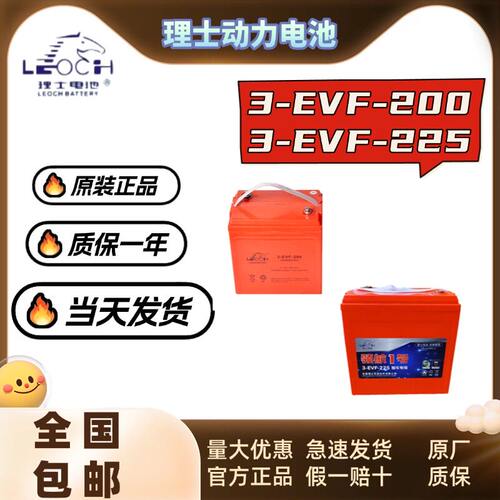 LEOCH理士蓄电池3-EVF-20