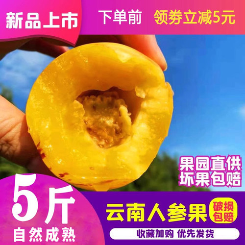 【收到既吃】8斤送1斤只发黄果云南石林树上自然熟人参果新鲜水果