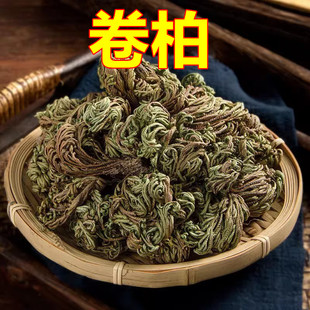 中药材卷柏 卷柏中药 九死还魂草 不死草 还阳草500克包邮