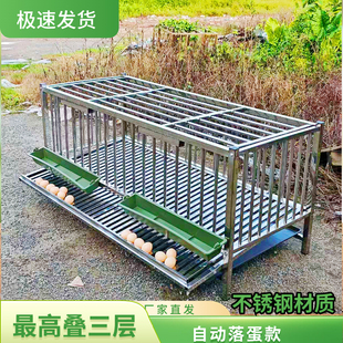 不锈钢鸡笼子家用室外鸡笼室外养通用兔笼户外加粗鸭笼养殖落蛋款