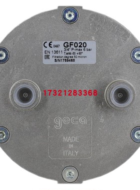 GF020 GF040 GFD65 GFD80 燃气过滤器 承压6bar 意大利 GECA集卡