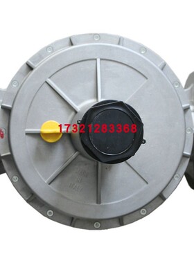 意大利GECA 燃气调压阀 RGD65-FT-1B RGD80-FT-1B RGD100-FT-1B