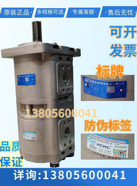 HCHC合肥长源液压齿轮泵 CBQL-F532/F532-CFH 双联油泵 液压配件