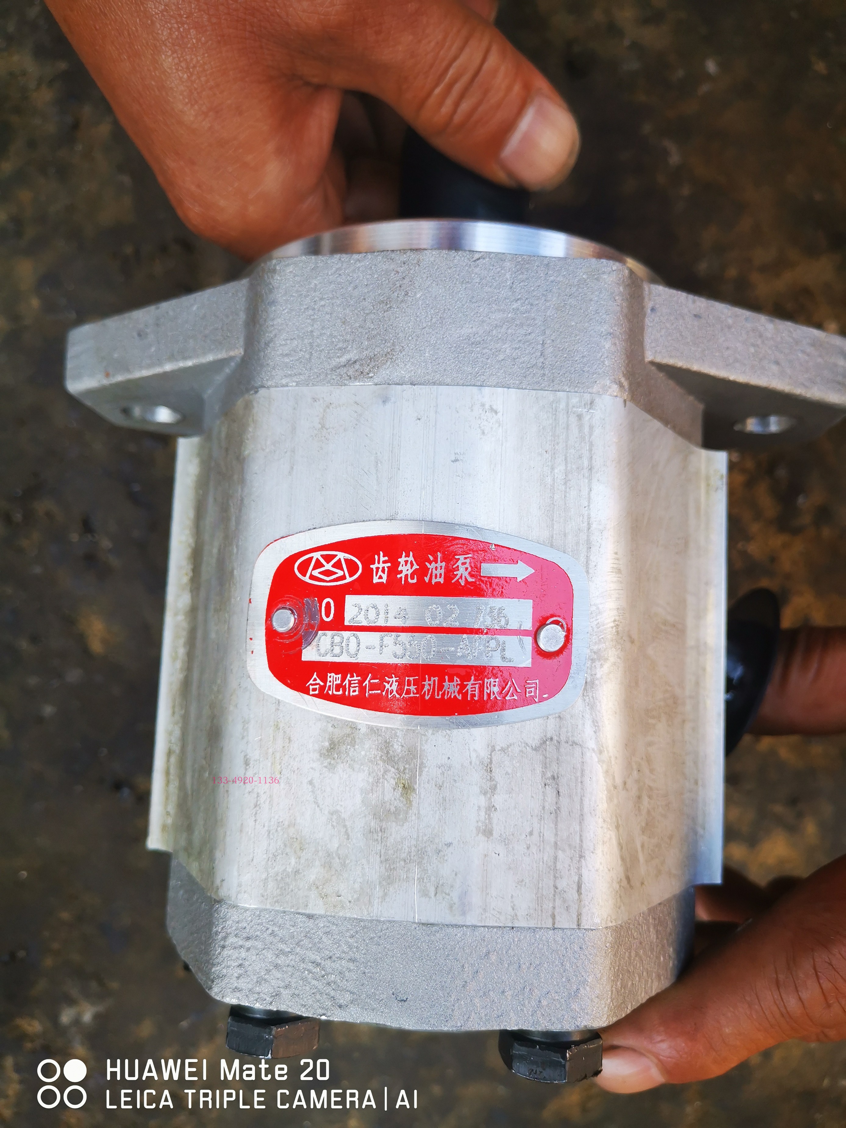 合肥信仁液压泵 齿轮油泵 CBQ-F550-AFPL  AFΦL   CBQ-F573-AFP