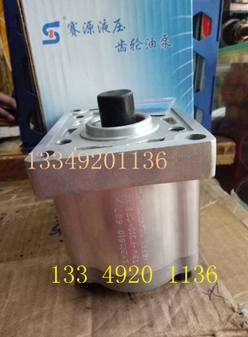 CBW-F306-ALP ALB CLPL TZBLCFH合肥赛源CBW-F液压齿轮泵SAI YUAN