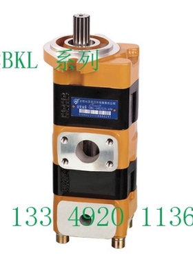 双联齿轮油泵SaiYuan赛源 13齿花键叉车双联泵CBKL-G40/G32-ATφL
