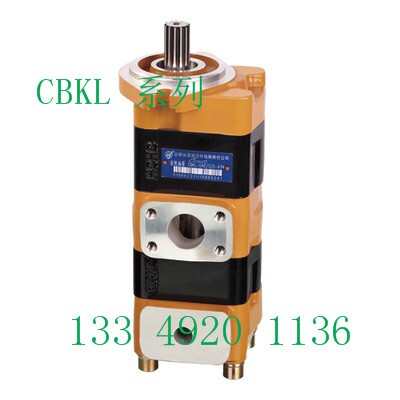 CBKL-G40/G20-ATφL油泵SaiYuan