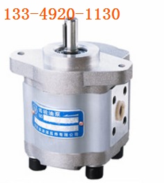 CBW-F203-ALP合肥赛源液压CBW-F203-AFP齿轮油泵 HeFei SaiYuan