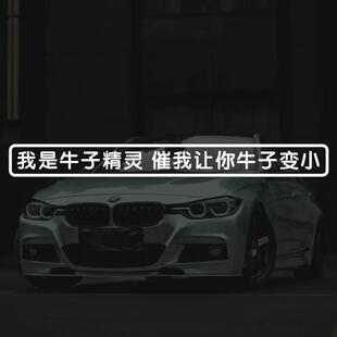 汽车车贴我是牛子精灵搞笑有趣文字游戏玻璃电动车防水反光贴纸