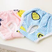 宠物泰迪安全裤 小型比熊狗狗骚扰姨妈 泰迪月经生理卫生裤