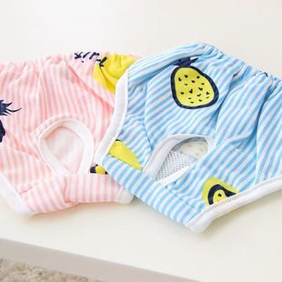 宠物泰迪安全裤泰迪月经生理卫生裤小型比熊狗狗骚扰姨妈