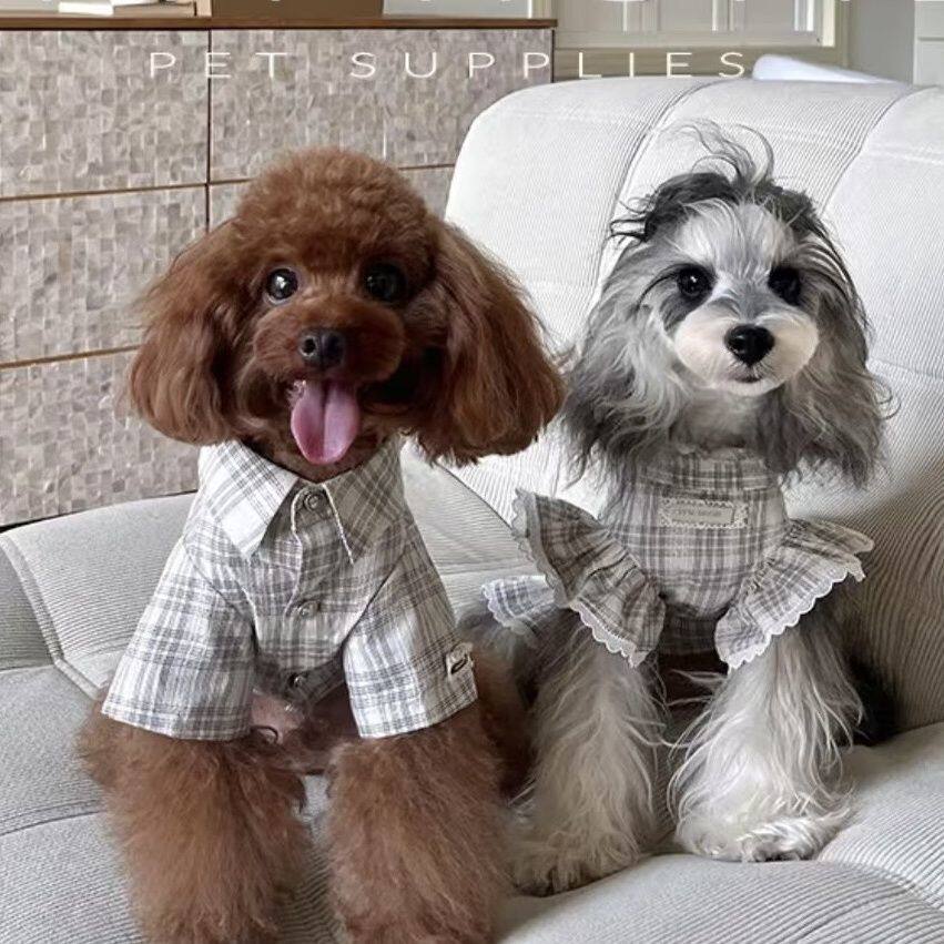 宠物狗狗猫咪衣服春夏薄款透气格狗宠物服装/雨衣