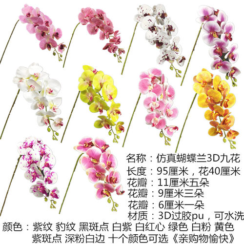 仿真花蝴蝶兰单枝保湿pupu蝴蝶兰