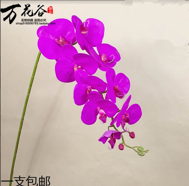 仿真花蝴蝶兰3D手感过胶单支干花饰假花客厅餐桌摆设摆放兰花包邮
