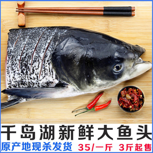 千岛湖鱼活鱼胖头鱼鱼头鲢鳙鲢鱼现杀顺丰冷链保鲜到家包头鱼新鲜