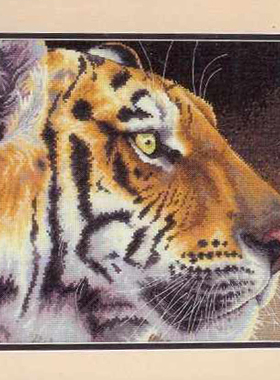 刘年锦绣 正品DMC线R线十字绣自配套件 非印花 Dim 35171