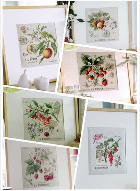 刘年锦绣正品DMC线R线非印花DFEA阴影花水果系列6款选择