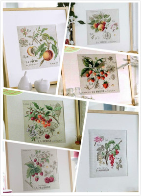 正品dfea阴影水果系列选择十字绣