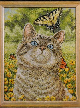 刘年锦绣 正品DMC绣线十字绣自配套件 非印花 BU 45397