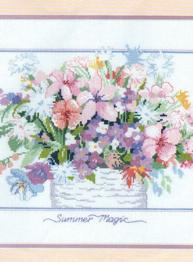 刘年锦绣 正品DMC线R线十字绣自配套件 非印花 Dim 03655