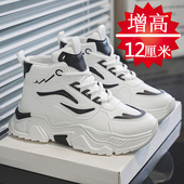 增高鞋 隐形内增高10cm8cm6cm老爹潮鞋 男12cm秋季 青少年运动休闲鞋