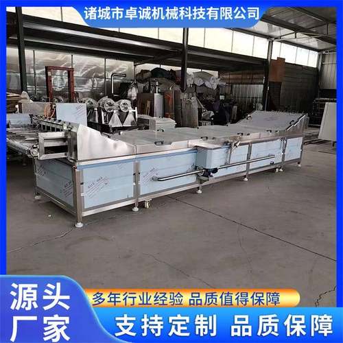农产品分拣流水线 笋尖杀菌设备 清洗漂烫杀青机 豆干低温灭菌机