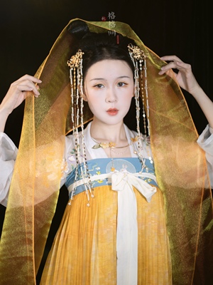 格格间纱质金黄色幻色披帛