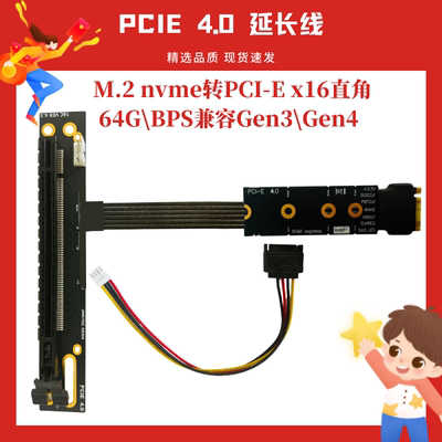 4.0M.2转PCIex16转接线