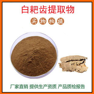 白耙齿提取物30:1 白耙齿菌提取物 白耙齿菌多糖 量大从优 包邮