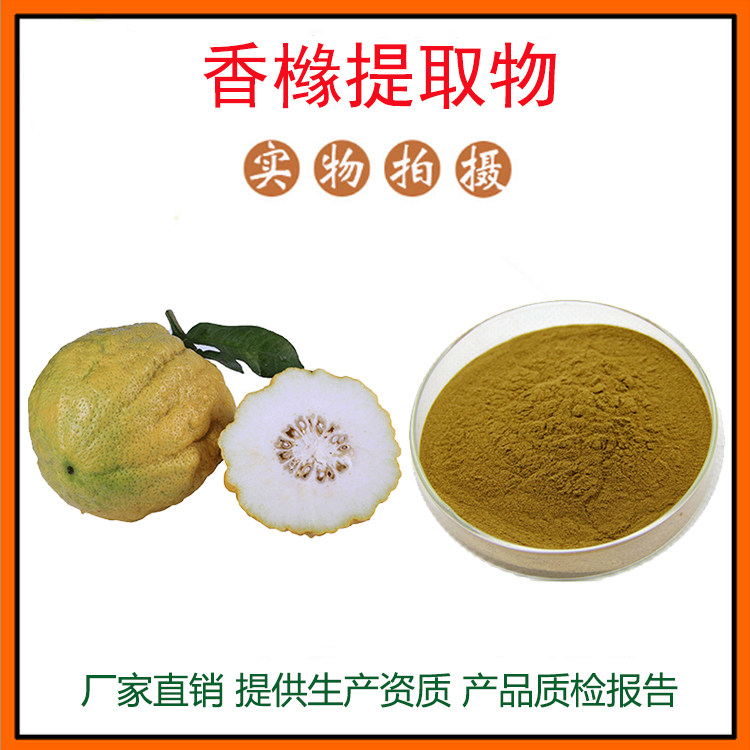 香橼提取物30:1 香橼粉 水溶性香橼/香圆粉 量大从优 现货包邮